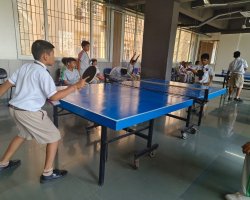 Table Tennis 2024-25